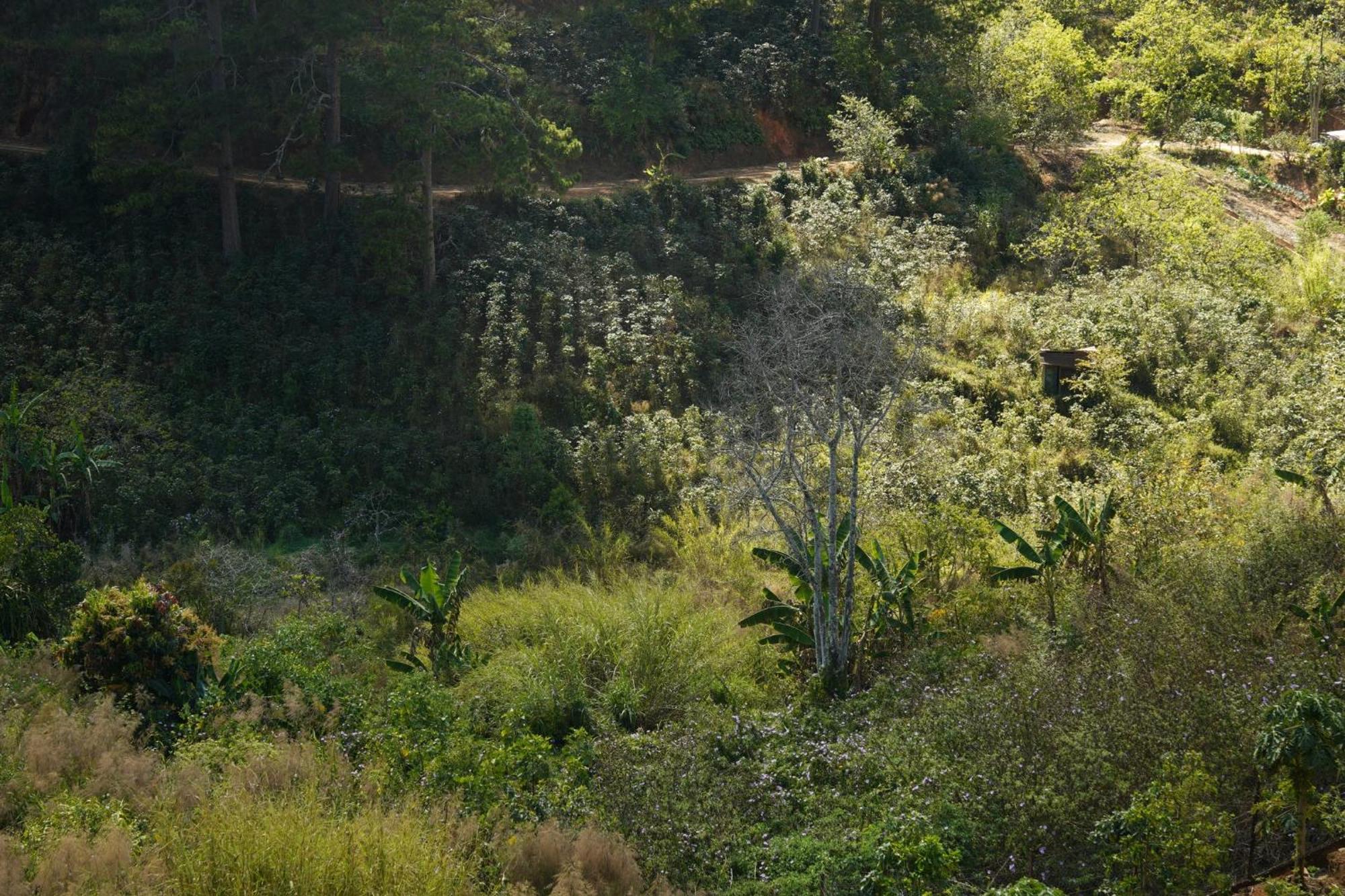 Emai Valley Da Lat Dış mekan fotoğraf